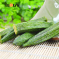 Healthy Snacks VF Dried Okra Vegetable Chips